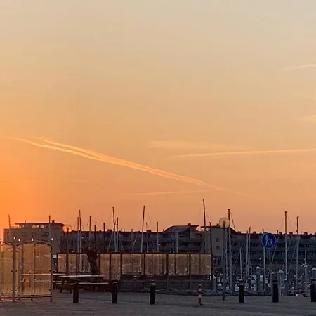 Duindoorn 46 Alpehytte *